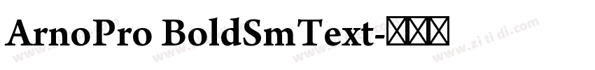 ArnoPro BoldSmText字体转换